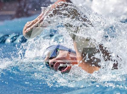 Thumbnail 2 in AIA D2 Swim Finals photogallery.