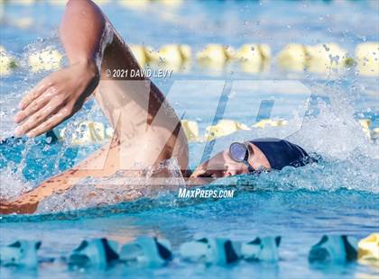 Thumbnail 3 in AIA D2 Swim Finals photogallery.