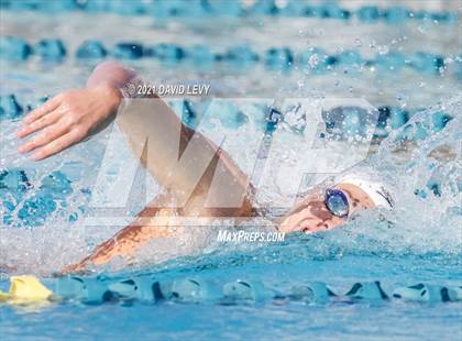 Thumbnail 1 in AIA D2 Swim Finals photogallery.