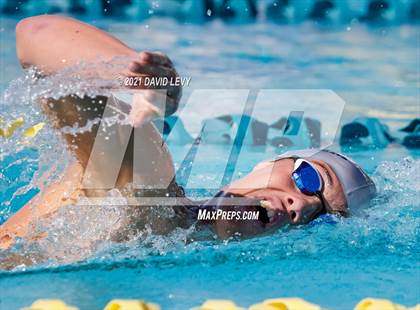 Thumbnail 3 in AIA D2 Swim Finals photogallery.