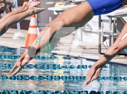 Thumbnail 3 in AIA D2 Swim Finals photogallery.