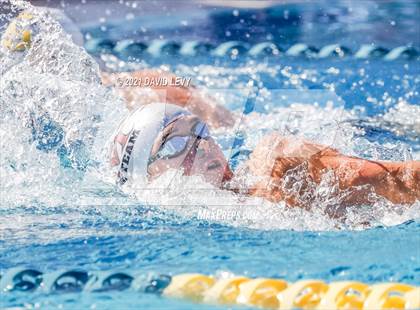 Thumbnail 2 in AIA D2 Swim Finals photogallery.