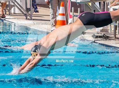 Thumbnail 3 in AIA D2 Swim Finals photogallery.