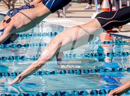 Thumbnail 1 in AIA D2 Swim Finals photogallery.