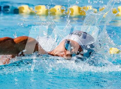 Thumbnail 1 in AIA D2 Swim Finals photogallery.