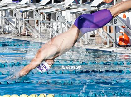 Thumbnail 2 in AIA D2 Swim Finals photogallery.