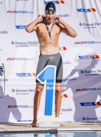Thumbnail 2 in AIA D2 Swim Finals photogallery.