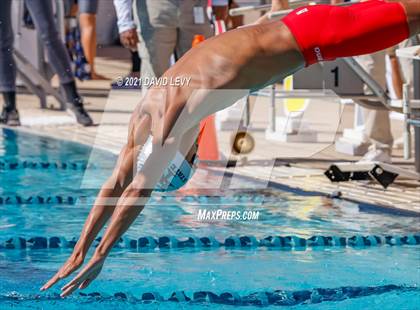 Thumbnail 2 in AIA D2 Swim Finals photogallery.