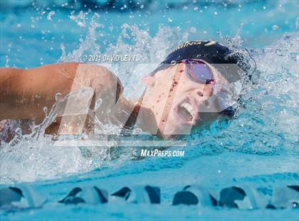 Thumbnail 2 in AIA D2 Swim Finals photogallery.