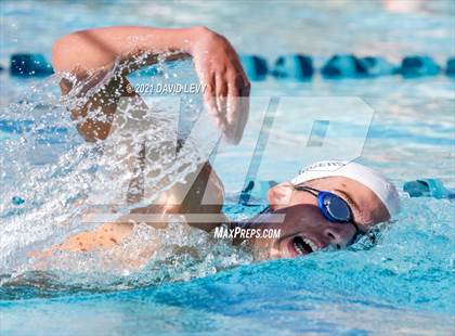 Thumbnail 3 in AIA D2 Swim Finals photogallery.