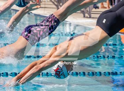 Thumbnail 2 in AIA D2 Swim Finals photogallery.