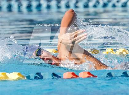Thumbnail 2 in AIA D2 Swim Finals photogallery.