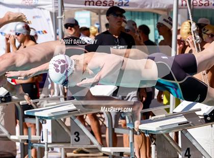 Thumbnail 2 in AIA D2 Swim Finals photogallery.