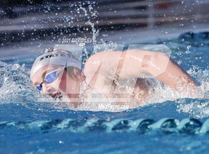 Thumbnail 2 in AIA D2 Swim Finals photogallery.