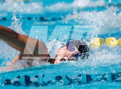 Thumbnail 1 in AIA D2 Swim Finals photogallery.