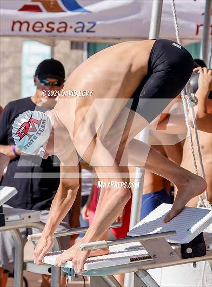 Thumbnail 1 in AIA D2 Swim Finals photogallery.