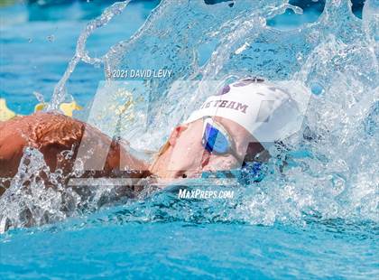 Thumbnail 2 in AIA D2 Swim Finals photogallery.