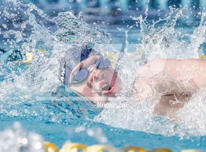 Thumbnail 1 in AIA D2 Swim Finals photogallery.