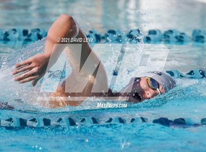 Thumbnail 2 in AIA D2 Swim Finals photogallery.