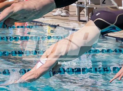 Thumbnail 3 in AIA D2 Swim Finals photogallery.