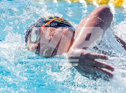 Thumbnail 1 in AIA D2 Swim Finals photogallery.
