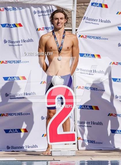 Thumbnail 3 in AIA D2 Swim Finals photogallery.