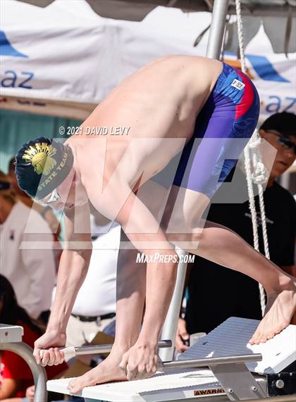Thumbnail 1 in AIA D2 Swim Finals photogallery.