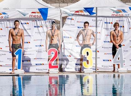Thumbnail 3 in AIA D2 Swim Finals photogallery.