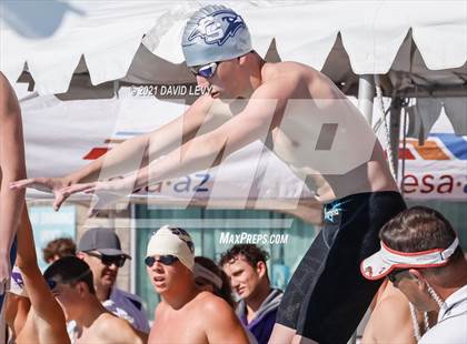 Thumbnail 2 in AIA D2 Swim Finals photogallery.