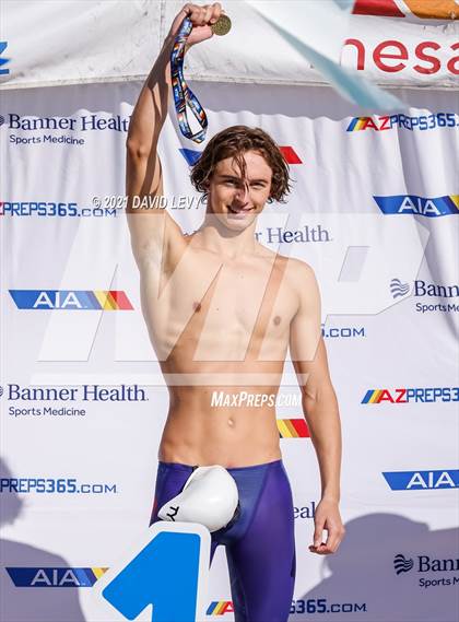 Thumbnail 1 in AIA D2 Swim Finals photogallery.