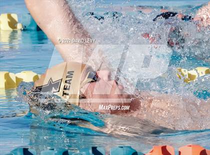 Thumbnail 1 in AIA D2 Swim Finals photogallery.