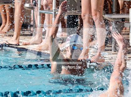 Thumbnail 3 in AIA D2 Swim Finals photogallery.