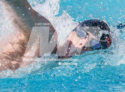 Thumbnail 2 in AIA D2 Swim Finals photogallery.