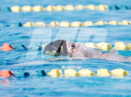 Thumbnail 2 in AIA D2 Swim Finals photogallery.