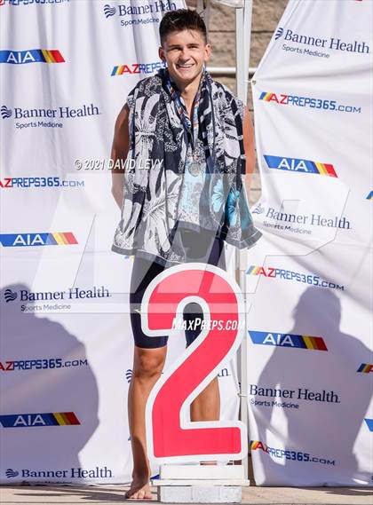 Thumbnail 3 in AIA D2 Swim Finals photogallery.