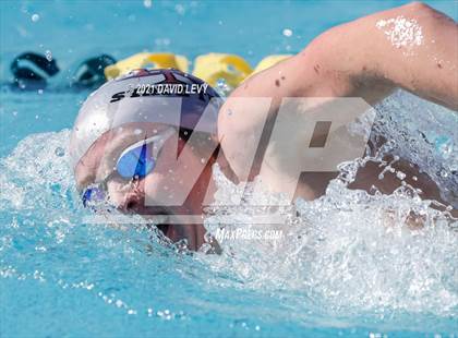 Thumbnail 1 in AIA D2 Swim Finals photogallery.