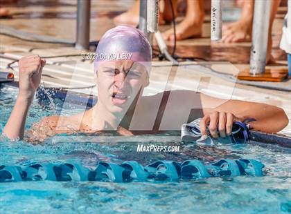 Thumbnail 2 in AIA D2 Swim Finals photogallery.