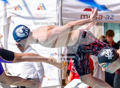 Thumbnail 3 in AIA D2 Swim Finals photogallery.