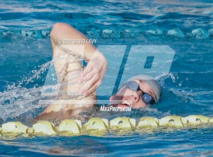 Thumbnail 1 in AIA D2 Swim Finals photogallery.