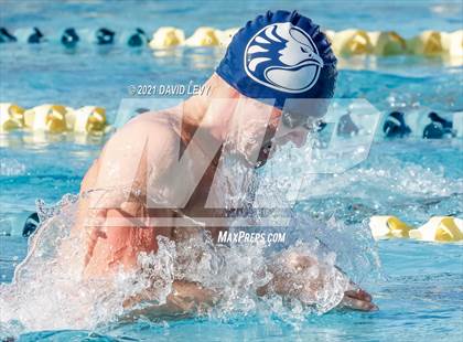 Thumbnail 3 in AIA D2 Swim Finals photogallery.