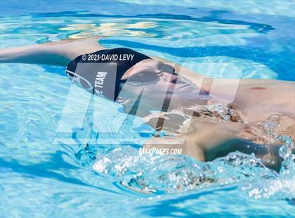 Thumbnail 3 in AIA D2 Swim Finals photogallery.