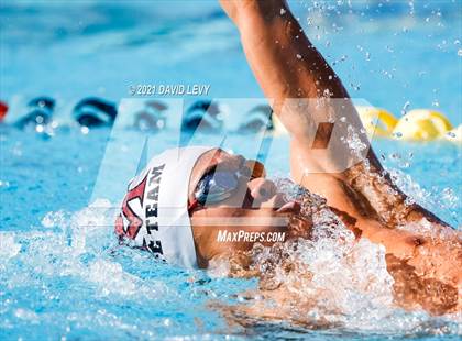 Thumbnail 3 in AIA D2 Swim Finals photogallery.