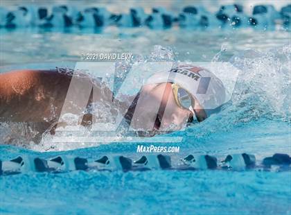 Thumbnail 1 in AIA D2 Swim Finals photogallery.