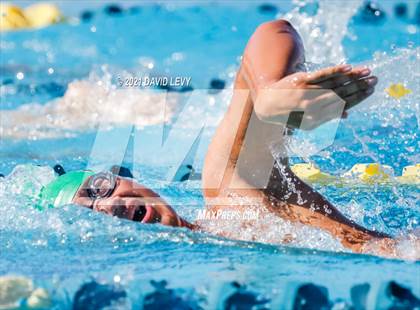 Thumbnail 3 in AIA D2 Swim Finals photogallery.