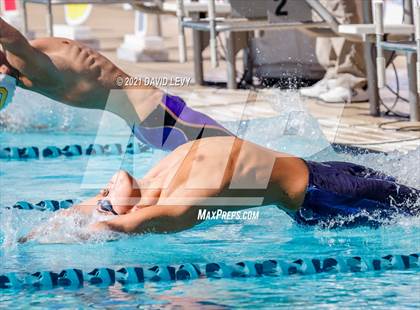 Thumbnail 1 in AIA D2 Swim Finals photogallery.