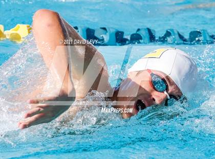 Thumbnail 2 in AIA D2 Swim Finals photogallery.