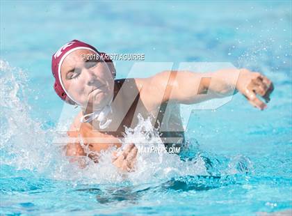 Thumbnail 3 in Arlington @ Paloma Valley photogallery.