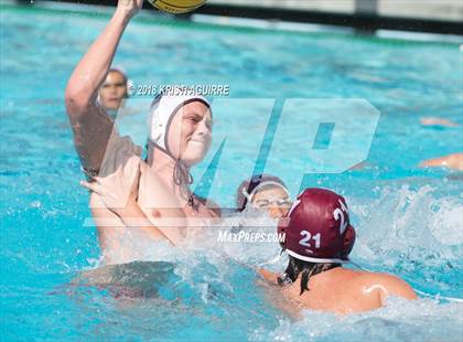Thumbnail 1 in Arlington @ Paloma Valley photogallery.