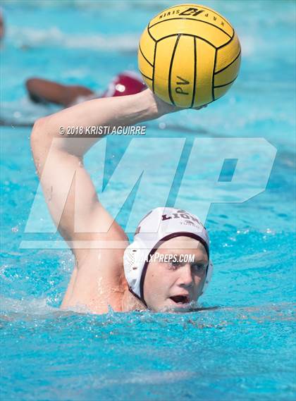 Thumbnail 2 in Arlington @ Paloma Valley photogallery.
