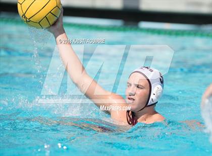 Thumbnail 2 in Arlington @ Paloma Valley photogallery.